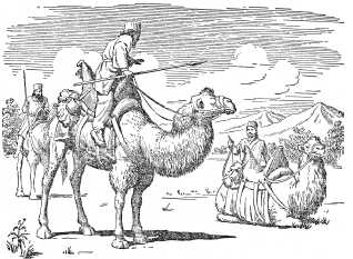 Перські воїни на верблюдах